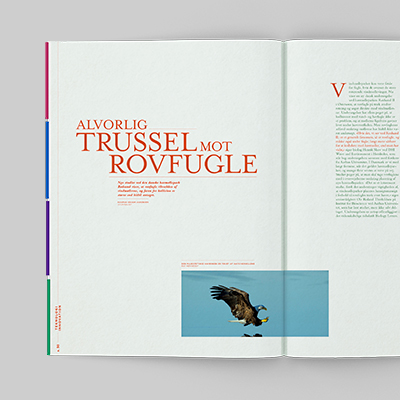 A magazine design for videnskab.dk